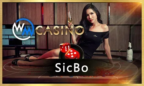 Beginner's Guide to Live Casino